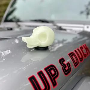 Magnetic skull